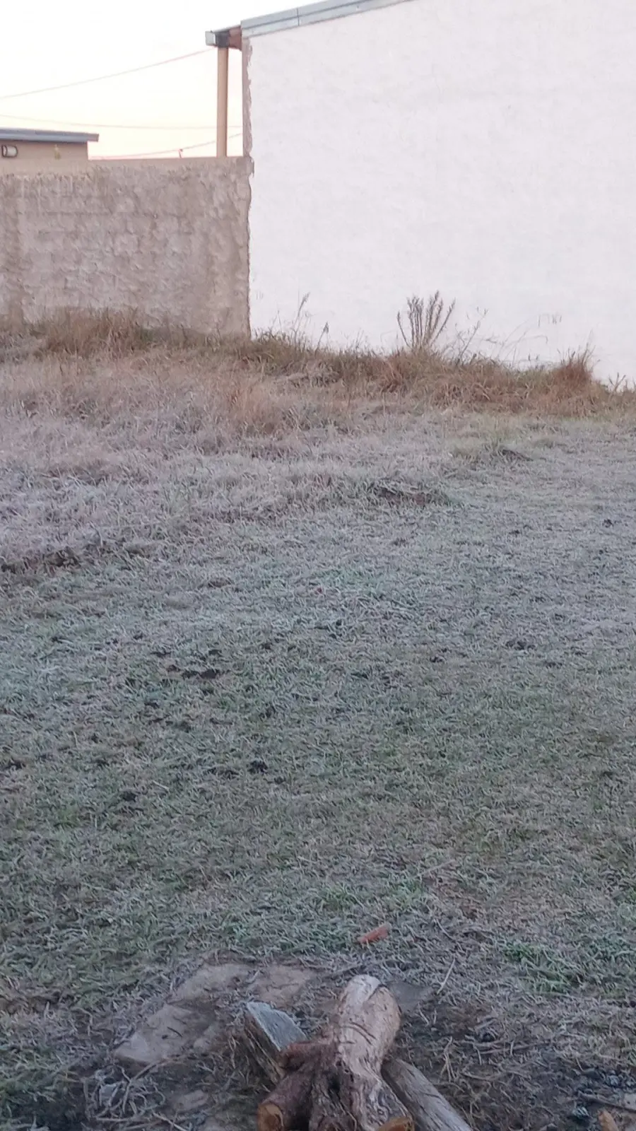 Helada en Villaguay (Ente R&iacute;os Ya)