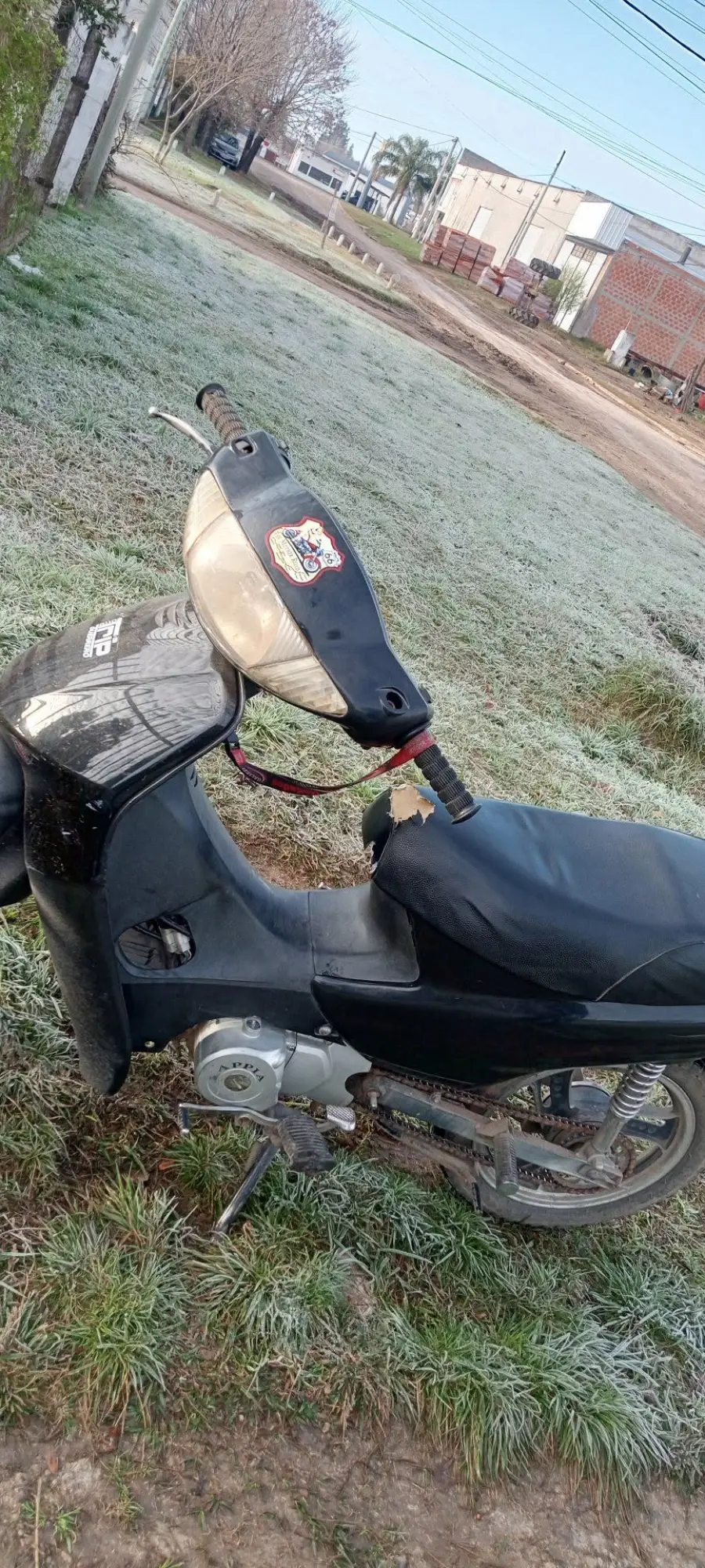 Helada en Nogoy&aacute; (Ente R&iacute;os Ya)