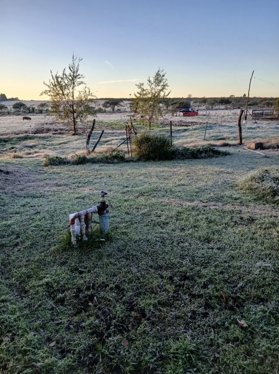Blanque&oacute; la helada en Entre R&iacute;os (Ente R&iacute;os Ya)