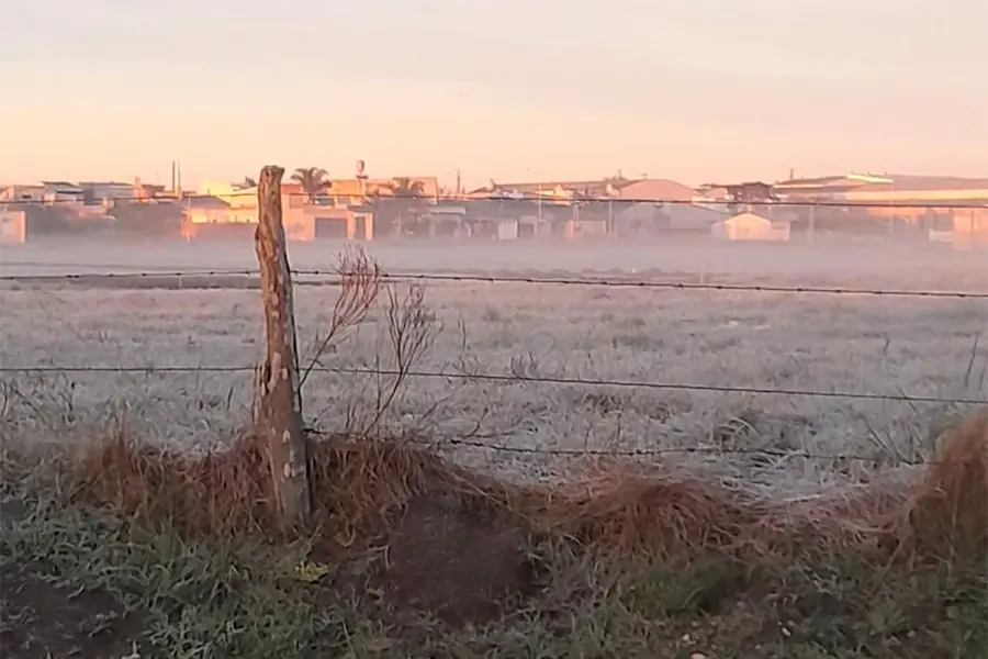 Helada en Chajar&iacute; (Ente R&iacute;os Ya)