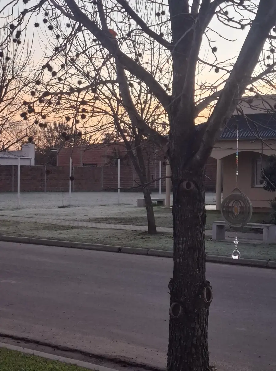 Blanque&oacute; la helada en Entre R&iacute;os (Ente R&iacute;os Ya)