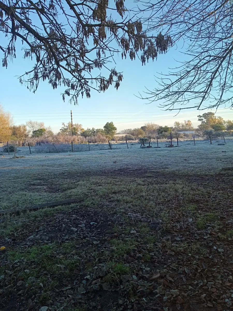 Blanque&oacute; la helada en Entre R&iacute;os (Ente R&iacute;os Ya)