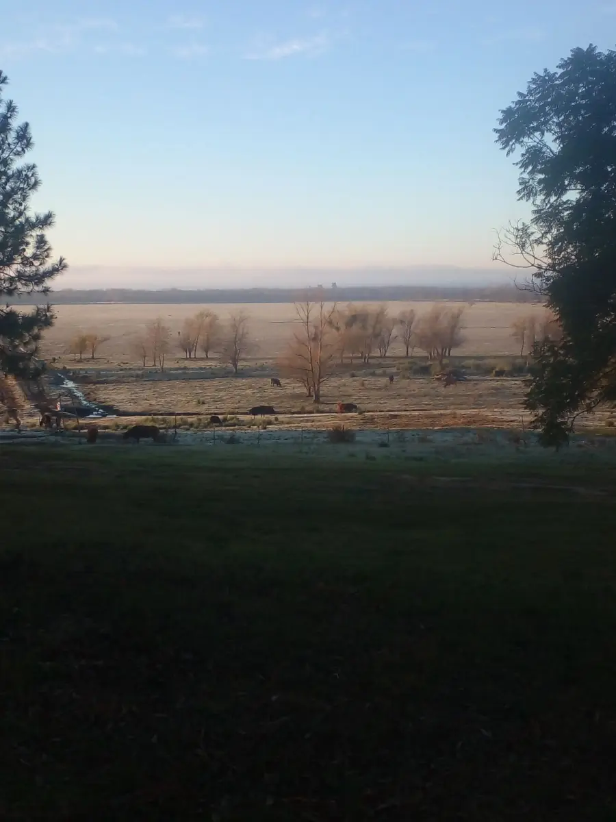 Helada en Arroyo Molino, departamento Uruguay (Ente R&iacute;os Ya)