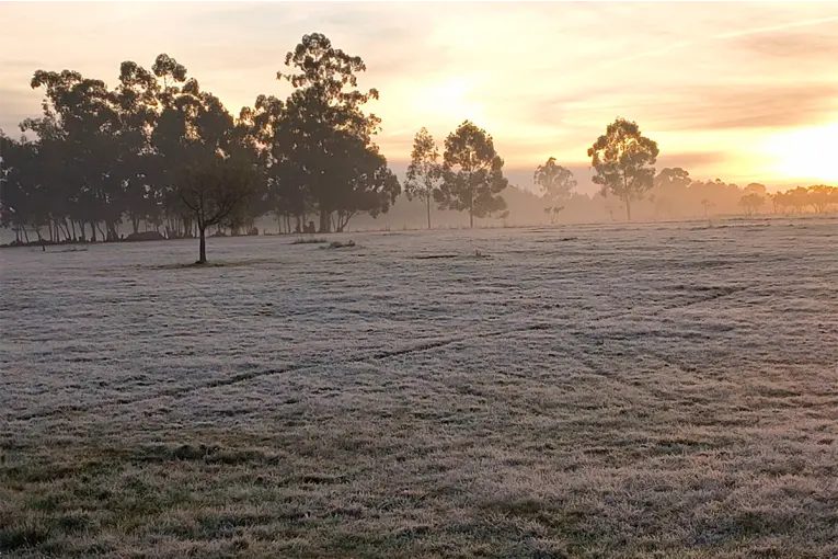 Imágenes: blanqueó la helada en Entre Ríos y dos localidades registraron temperaturas de 0°C