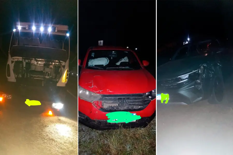 Un camión y dos camionetas chocaron contra una vaca sobre la Ruta 12