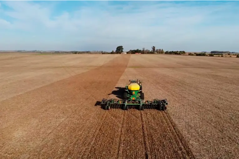 Siembra de trigo: reducen el área por costos y crece el interés por la colza, según ingeniero agrónomo