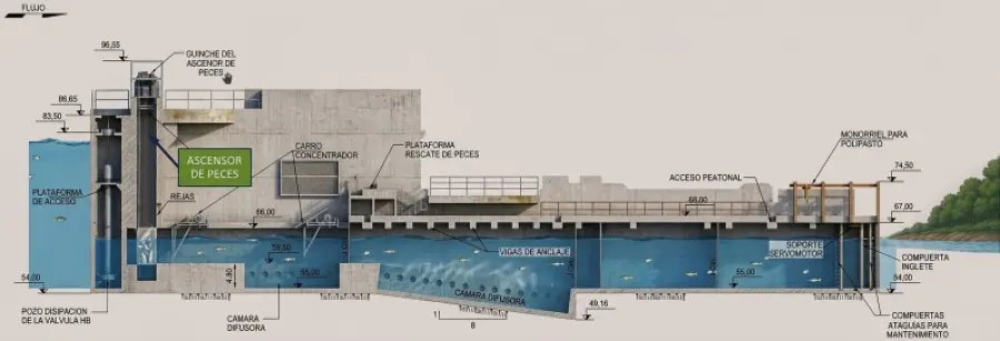 La innovadora infraestructura destinada a preservar las migraciones de especies