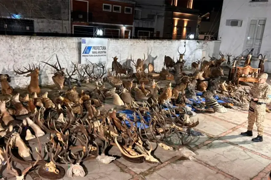 Millonario operativo judicial en Gualeguaychú (foto R2820)