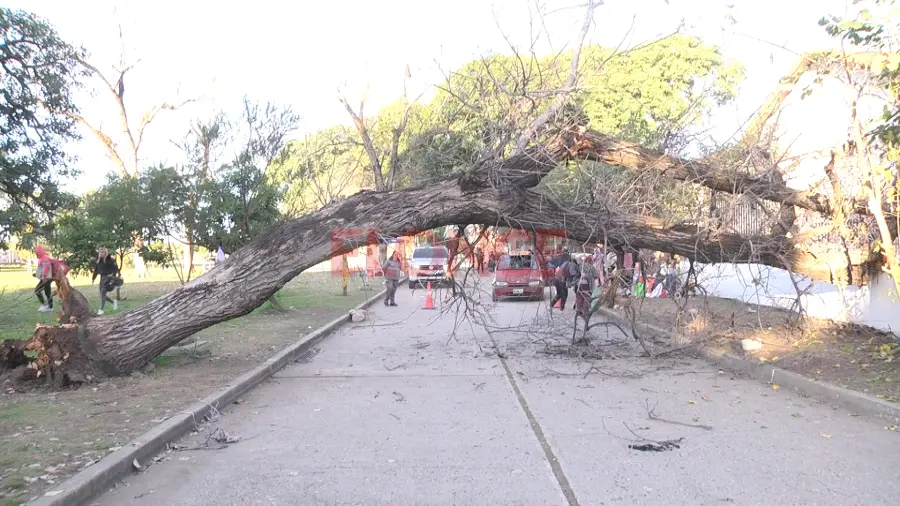 Foto: Elonce.