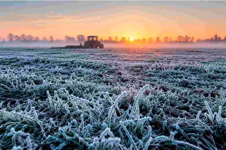 Solsticio: El invierno comenzó con el día más corto y la noche más larga del año