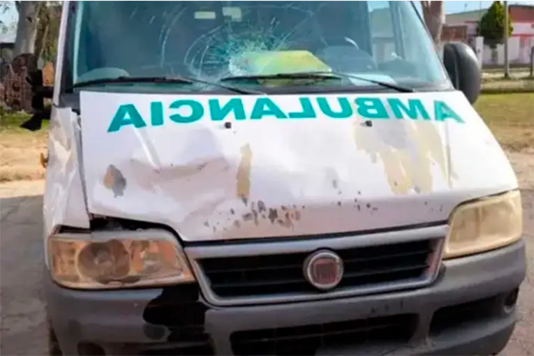 Ambulancia chocó un caballo suelto en la ruta: "No se hacen cargo", afirmó intendente entrerriano
