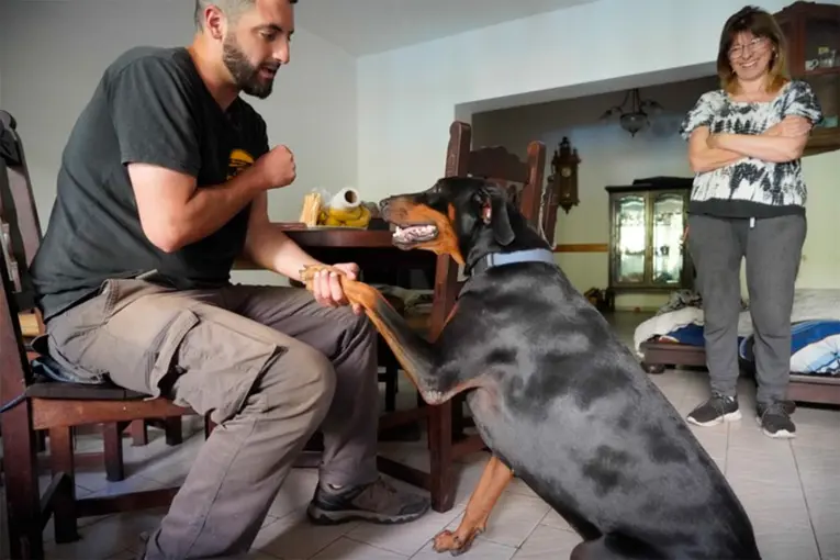 Cannabis medicinal para mascotas: los tratamientos y patologías en los que se utiliza