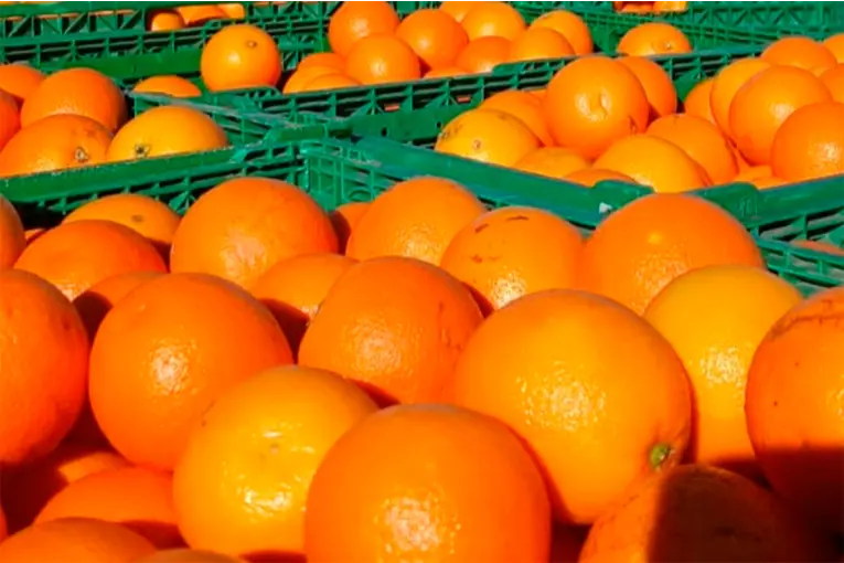 Refuerzan la alimentación de merenderos de Paraná con frutas de estación