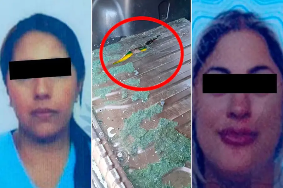 Las dos mujeres detenidas por el doble fondo en su camioneta.