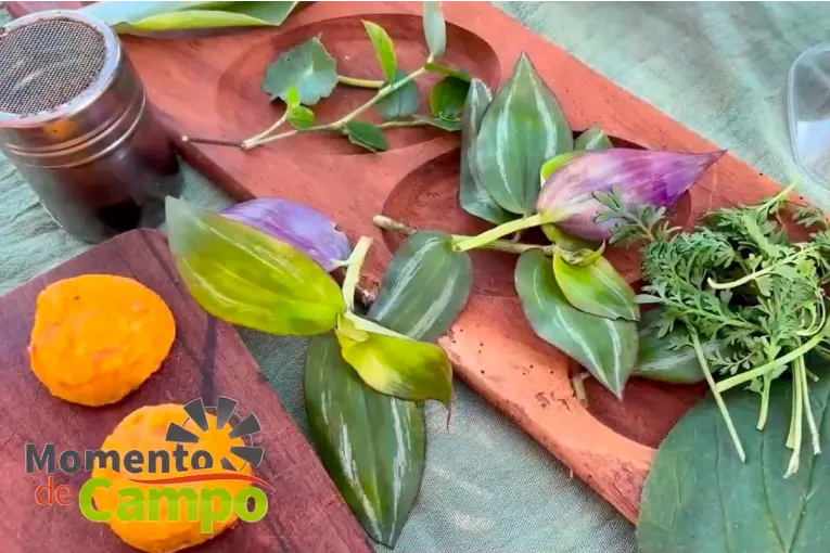 Gastronomía con identidad entrerriana: la pyme que rescata recetas, plantas nativas y sabores ancestrales