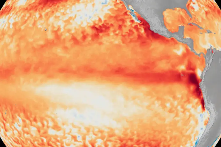Temperaturas extremas: los océanos tuvieron el junio más cálido y alertan por nuevos récords