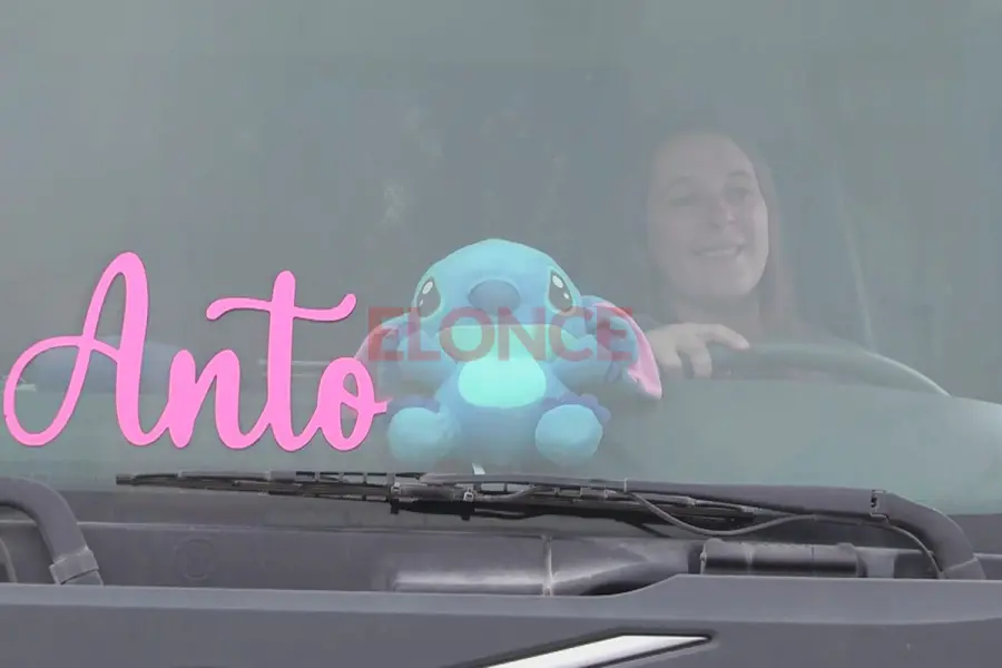Antonella Battig, camionera (foto Elonce)
