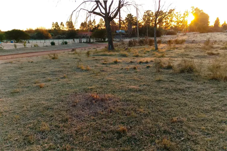 Alerta amarilla por frío extremo en más de 20 provincias: volvió a blanquear la helada en suelo entrerriano