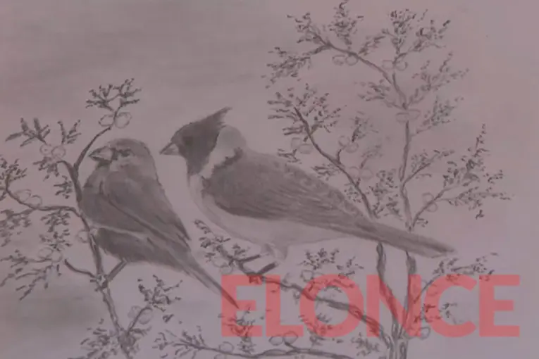 El legado artístico que dejó Rubén Cuestas con dibujos inspirados en sus canciones