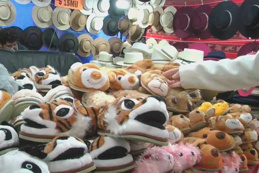 Pantuflas, en todos los n&uacute;meros, desde $15.000 (foto Elonce)