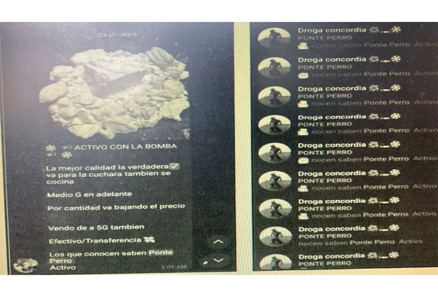El grupo de mensajería instantánea denominado "Droga Concordia" (foto Concordia Policiales)