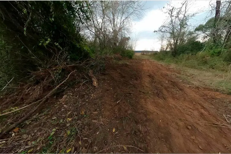 Denunciaron tala ilegal y destrucción de monte nativo protegido en Paso Vera Norte