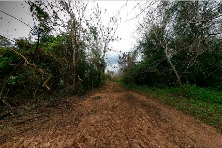 Avanza la investigación por tala ilegal y destrucción de monte nativo en Paso Vera Norte
