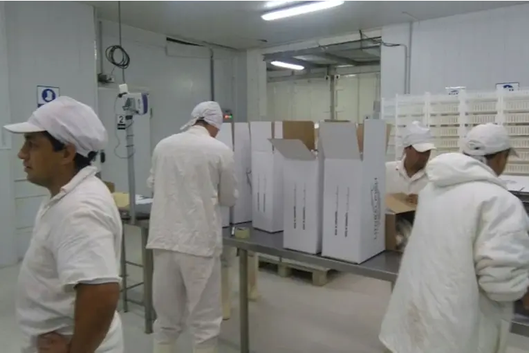 Un frigorífico de pescados de Victoria deberá frenar su actividad por irregularidades ambientales