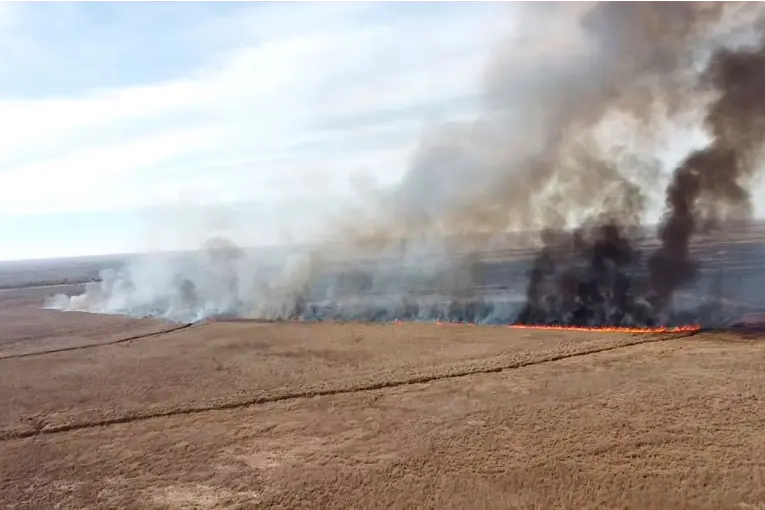 Brigadas entrerrianas asisten en el combate de incendios en la zona del Delta