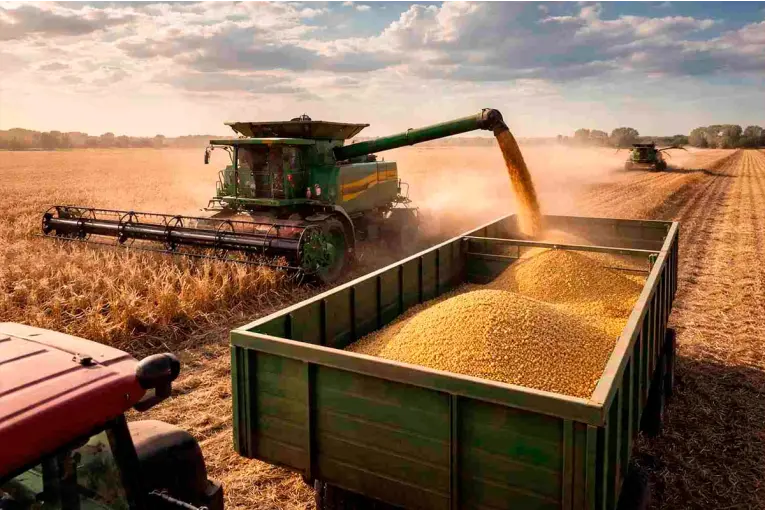 La cosecha de soja alcanzó 50,1 millones de toneladas y superó el promedio de los últimos años