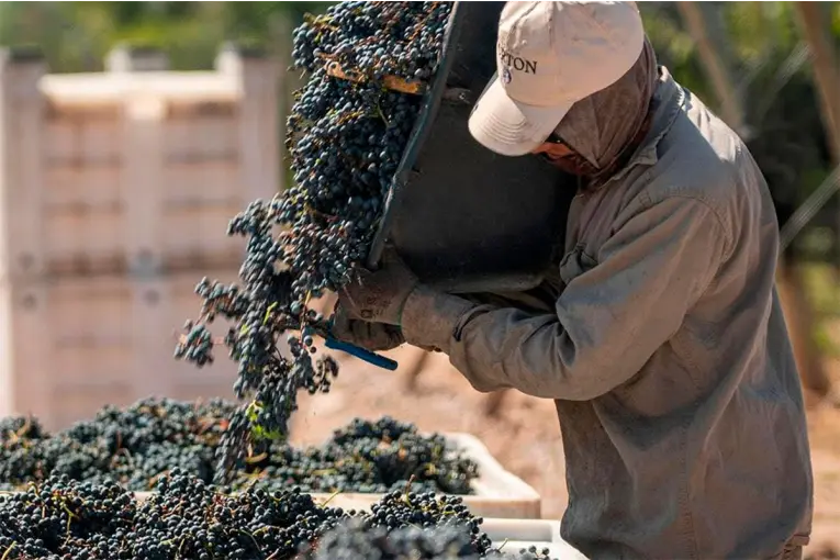 Una histórica bodega enfrenta una deuda millonaria y busca evitar el colapso financiero