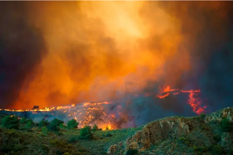 "El fuego hacía un remolino que consumía un árbol de la nada": relato del fotógrafo argentino en el incendio de Almería