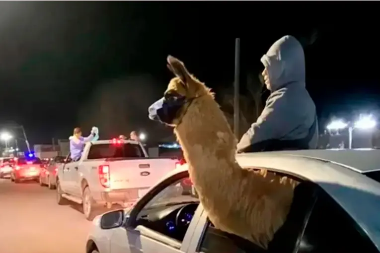 Sancionarían al penitenciario que llevó una llama en el auto para festejar el triunfo de Argentina: video