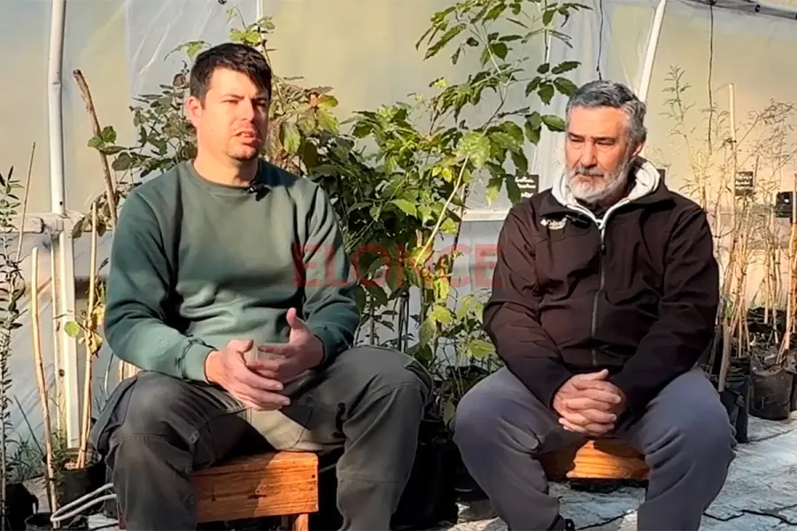 Dos generaciones de profesores.