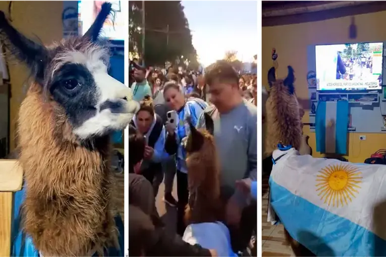 La llama mundialista volvió a recorrer las calles y fue furor en los festejos por Argentina