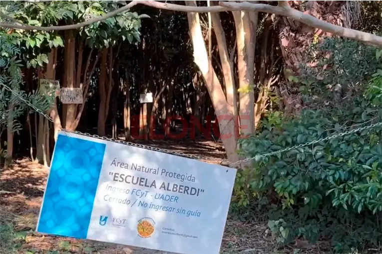 El vivero de especies nativas "El Chañar" impulsa la conservación del monte nativo y la educación ambiental