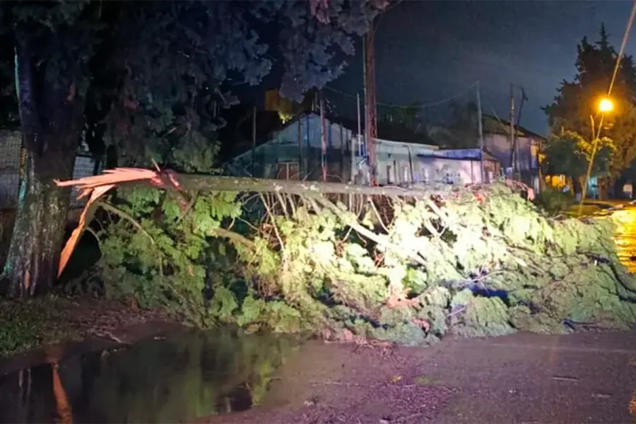 Temporal en Federal