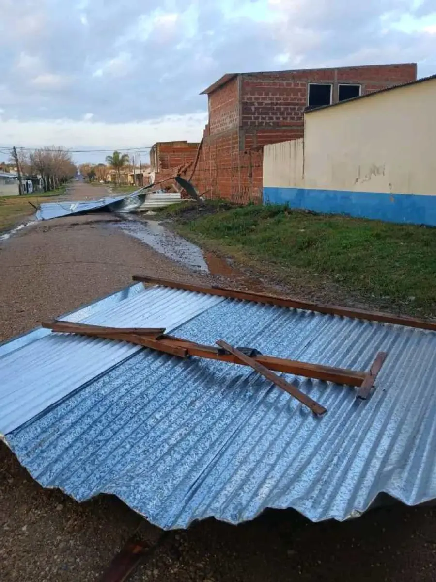 Temporal en Federal