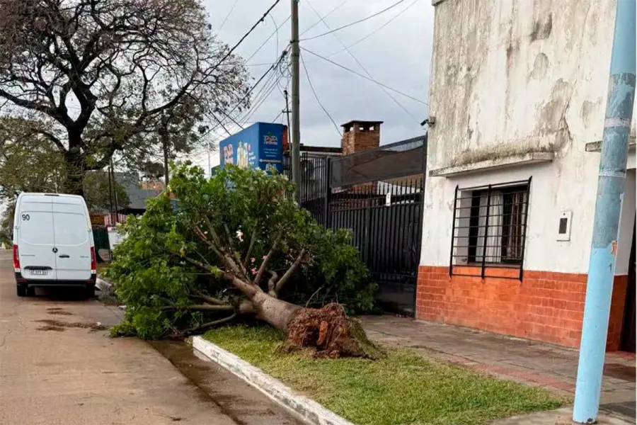 Temporal en Concordia.-