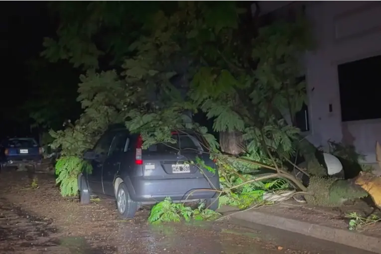 Tormenta en Colón: caída de árboles, daños en la Fiesta del Turista y un choque en ex Ruta 26