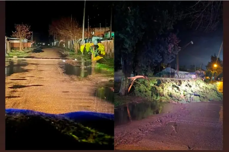 Fuerte temporal ocasionó voladoras de techos y caída de árboles en localidades entrerrianas
