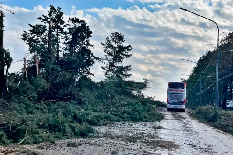 Tormenta en Concordia provocó destrozos, dejó a gran parte de la ciudad sin luz y causó importantes daños