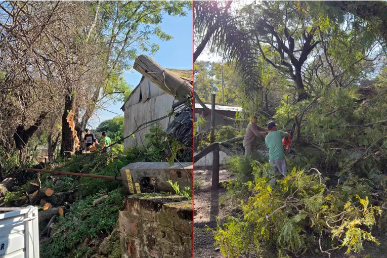 Fuertes vientos provocaron destrozos y caída de postes y árboles en La Paz