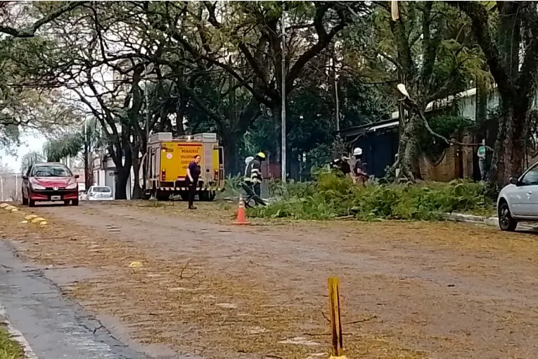 Temporal y destrozos en Concordia: "Nunca habíamos visto algo así", afirmaron desde la Cooperativa Eléctrica