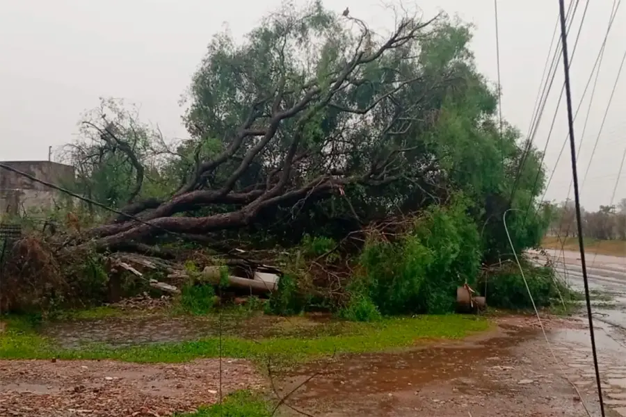 El temporal provoc&oacute; anegamientos, ca&iacute;da de &aacute;rboles y postes en Curuz&uacute; Cuati&aacute; (foto Diario &Eacute;poca)