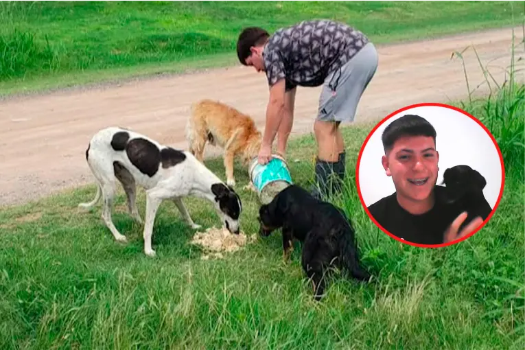 Rescatista y estudiante de veterinaria entrerriano: Cuando un perro vuelve a caminar, te llena el alma