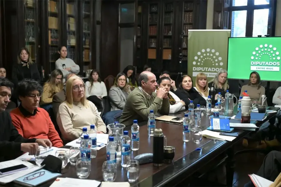 Reforma previsional: Diputados emiti&oacute; dictamen de mayor&iacute;a
