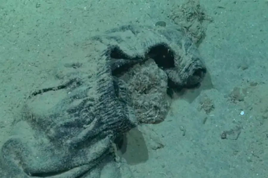 Foto: ROV SuBastian - Schmidt Ocean Institute