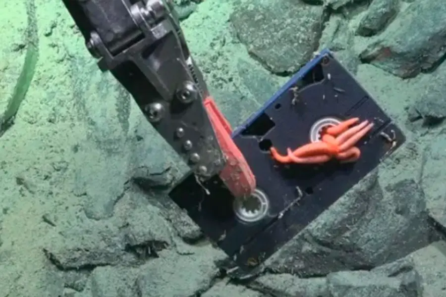 Foto: ROV SuBastian - Schmidt Ocean Institute