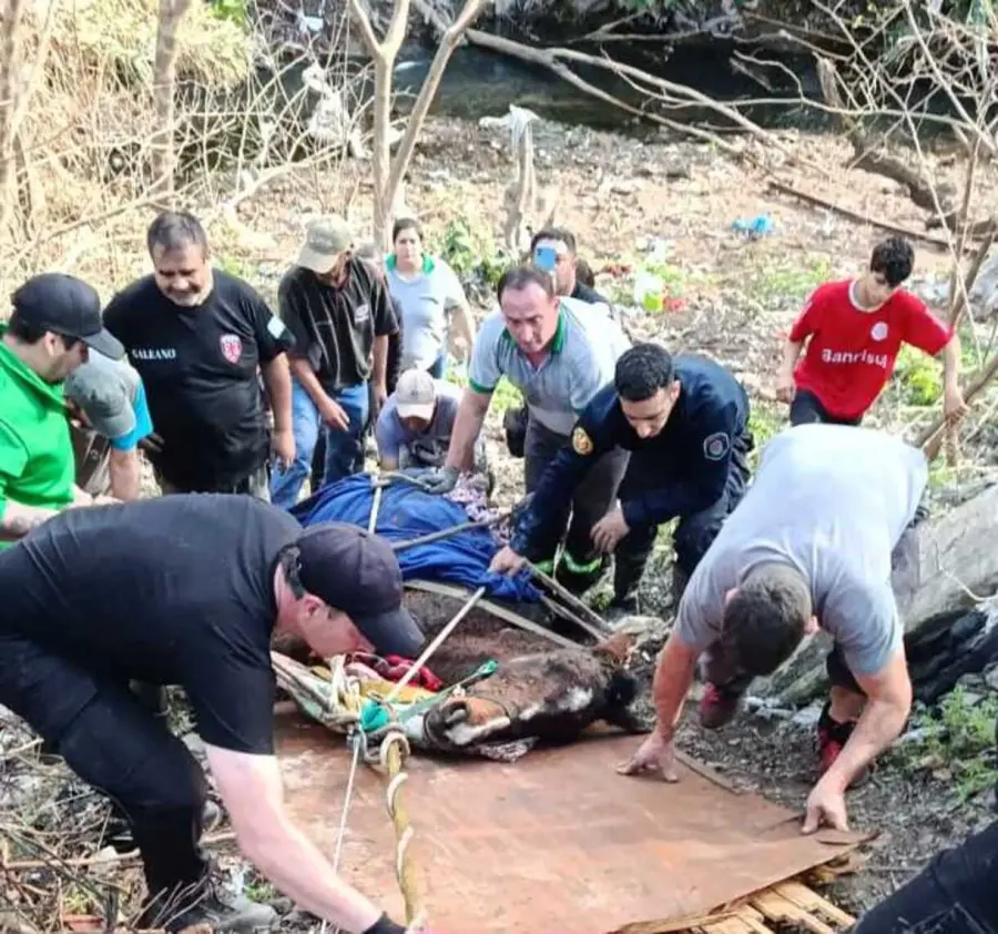 Foto: Bomberos Voluntarios de Paran&aacute;